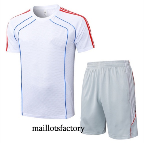 Grossiste Maillot d'entrainement Bayern Munich + Shorts 2025/26 Blanc/Gris/Rouge Kit