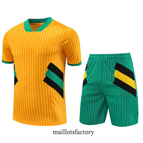 Kit d'entrainement Maillot du Bayern Munich + Short 2023/24 Jaune factory 0274