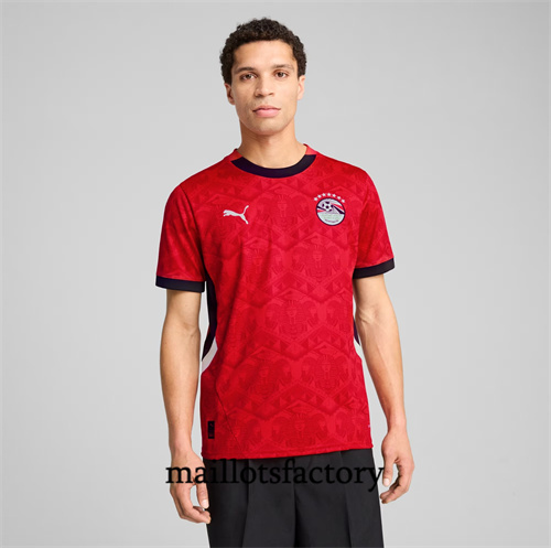 Nouveau Maillot du Egypte 2024/25 Domicile