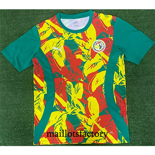 Grossiste Maillot du Sénégal 2024/25 Training